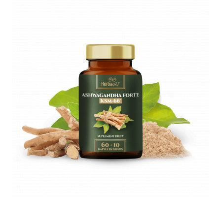 Ashwagandha FORTE  KSM-66®