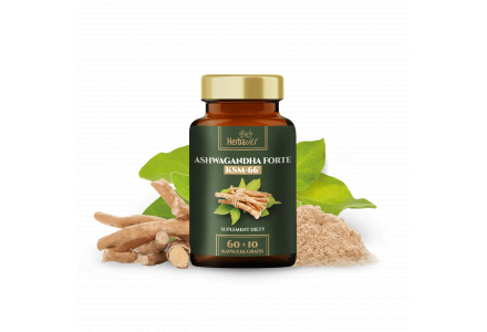 Ashwagandha FORTE  KSM-66®